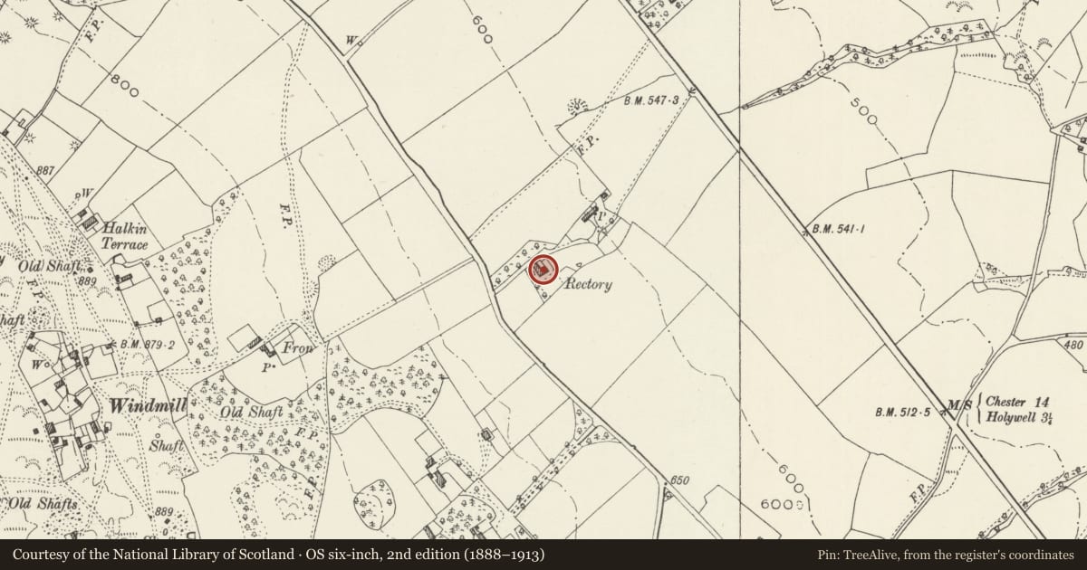 Ordnance Survey six-inch map, 2nd edition (1888–1913) covering the location of The Old Rectory, Halkyn, Flintshire, with a pin at the register's coordinates