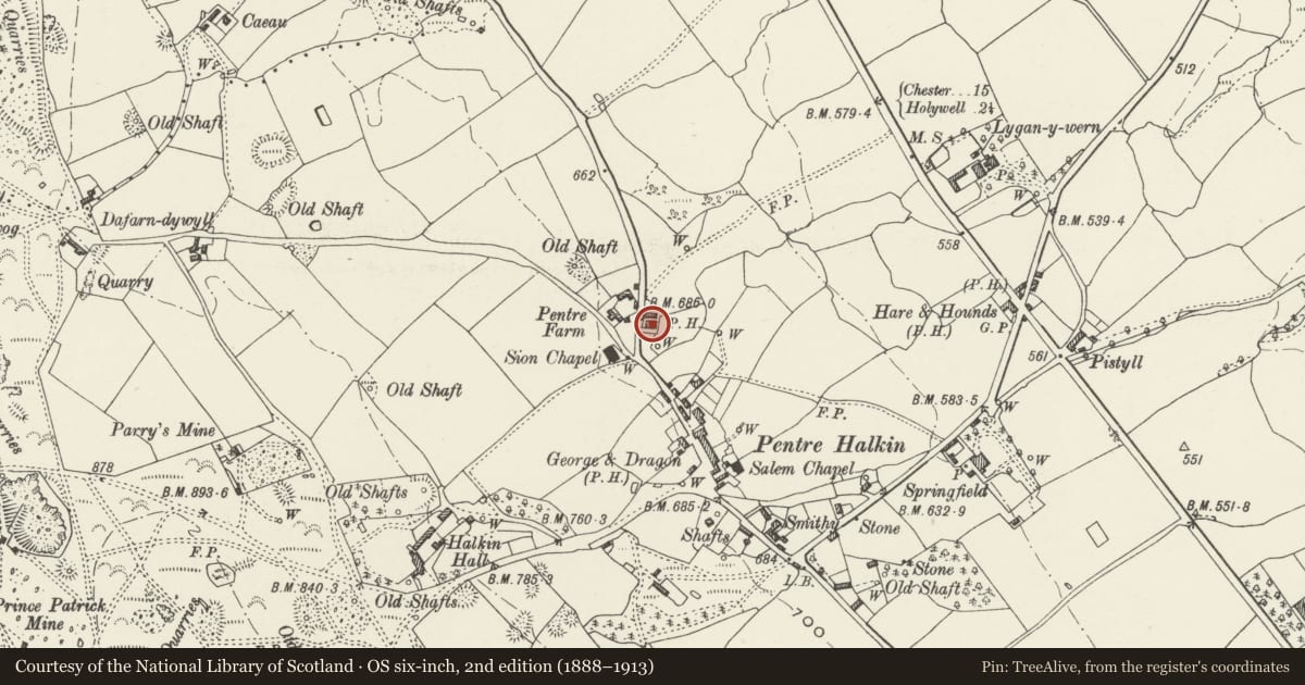 Ordnance Survey six-inch map, 2nd edition (1888–1913) covering the location of Bryn Awel, Halkyn, Flintshire, with a pin at the register's coordinates