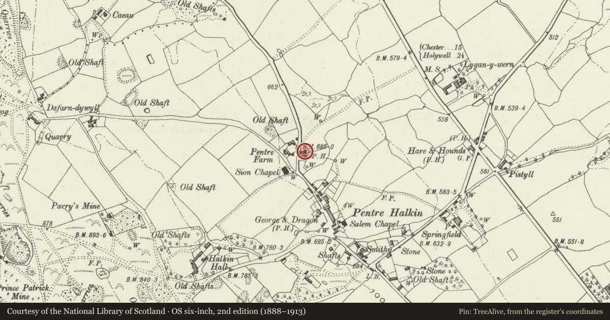 Ordnance Survey six-inch map, 2nd edition (1888–1913) covering the location of Cart House and Stable at Bryn Awel, Halkyn, Flintshire, with a pin at the register's coordinates