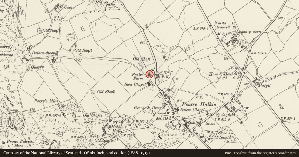 Ordnance Survey six-inch map, 2nd edition (1888–1913) covering the location of Old House at Pentre Farm, Halkyn, Flintshire, with a pin at the register's coordinates