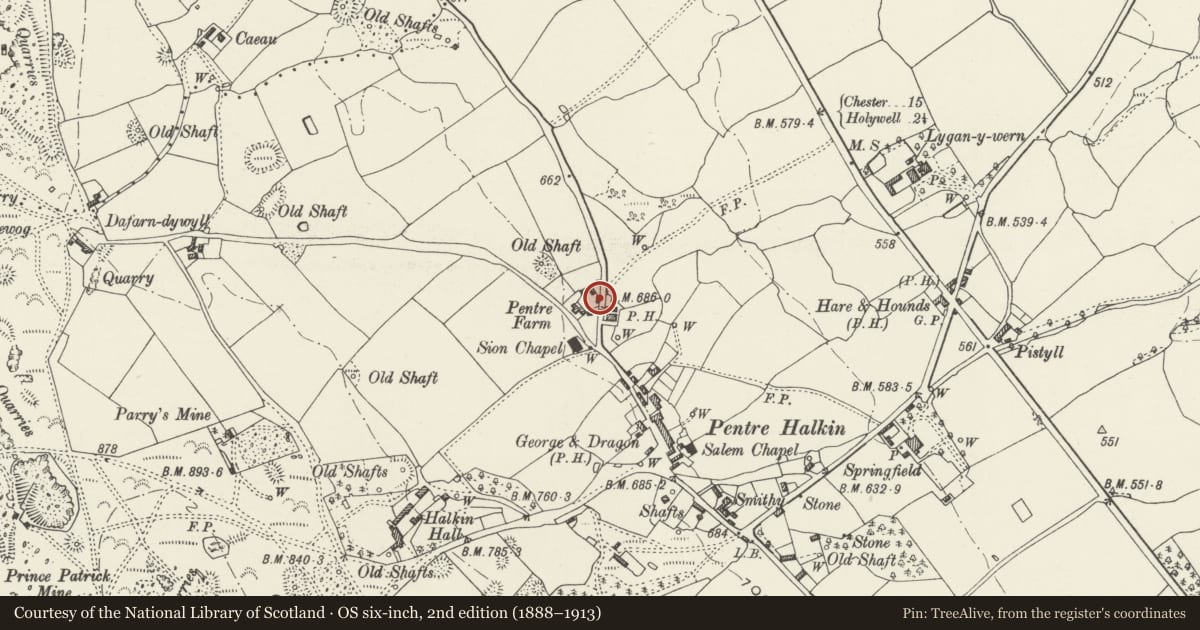 Ordnance Survey six-inch map, 2nd edition (1888–1913) covering the location of Shippon at Pentre Farm, Halkyn, Flintshire, with a pin at the register's coordinates