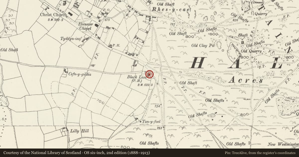 Ordnance Survey six-inch map, 2nd edition (1888–1913) covering the location of Black Lion Farm, Halkyn, Flintshire, with a pin at the register's coordinates