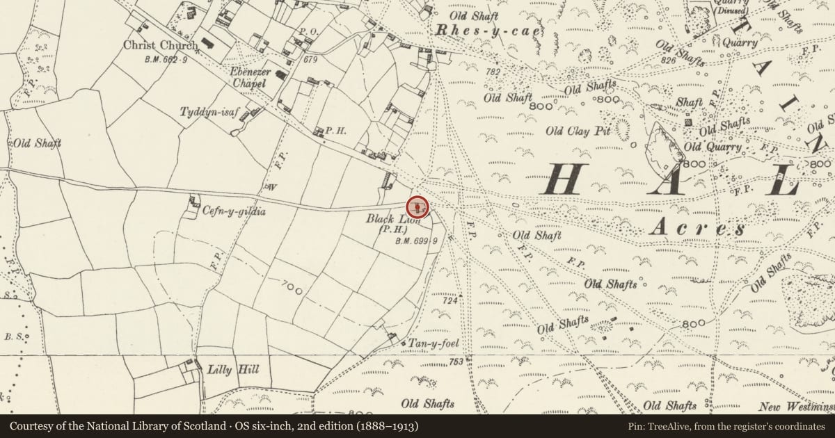Ordnance Survey six-inch map, 2nd edition (1888–1913) covering the location of Stable at Black Lion Farm, Halkyn, Flintshire, with a pin at the register's coordinates