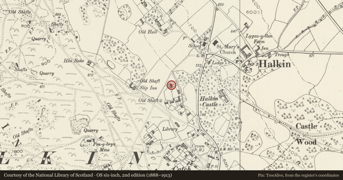Ordnance Survey six-inch map, 2nd edition (1888–1913) covering the location of Tir y Coed, Halkyn, Flintshire, with a pin at the register's coordinates