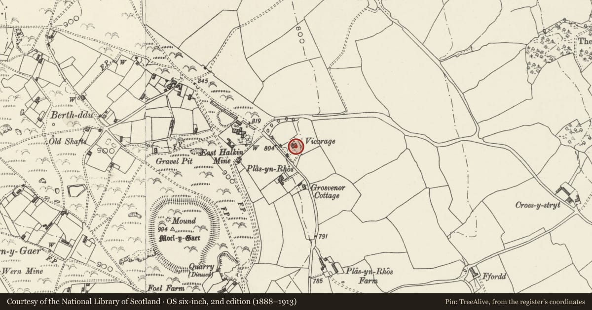 Ordnance Survey six-inch map, 2nd edition (1888–1913) covering the location of The Old Vicarage, Halkyn, Flintshire, with a pin at the register's coordinates