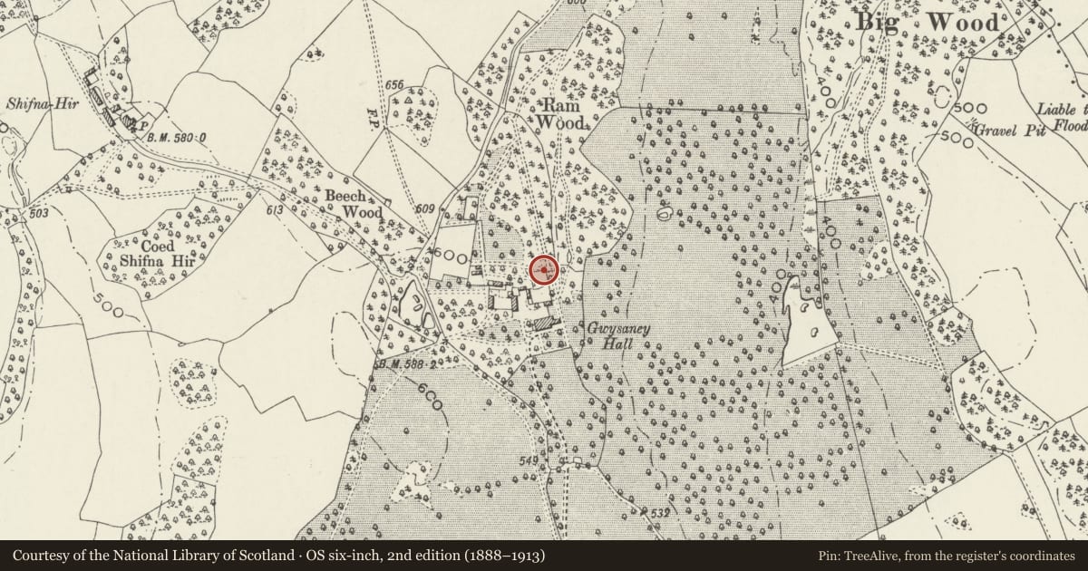 Ordnance Survey six-inch map, 2nd edition (1888–1913) covering the location of Gate and Gate Piers at SE end of arboretum at Gwysaney, Halkyn, Flintshire, with a pin at the register's coordinates