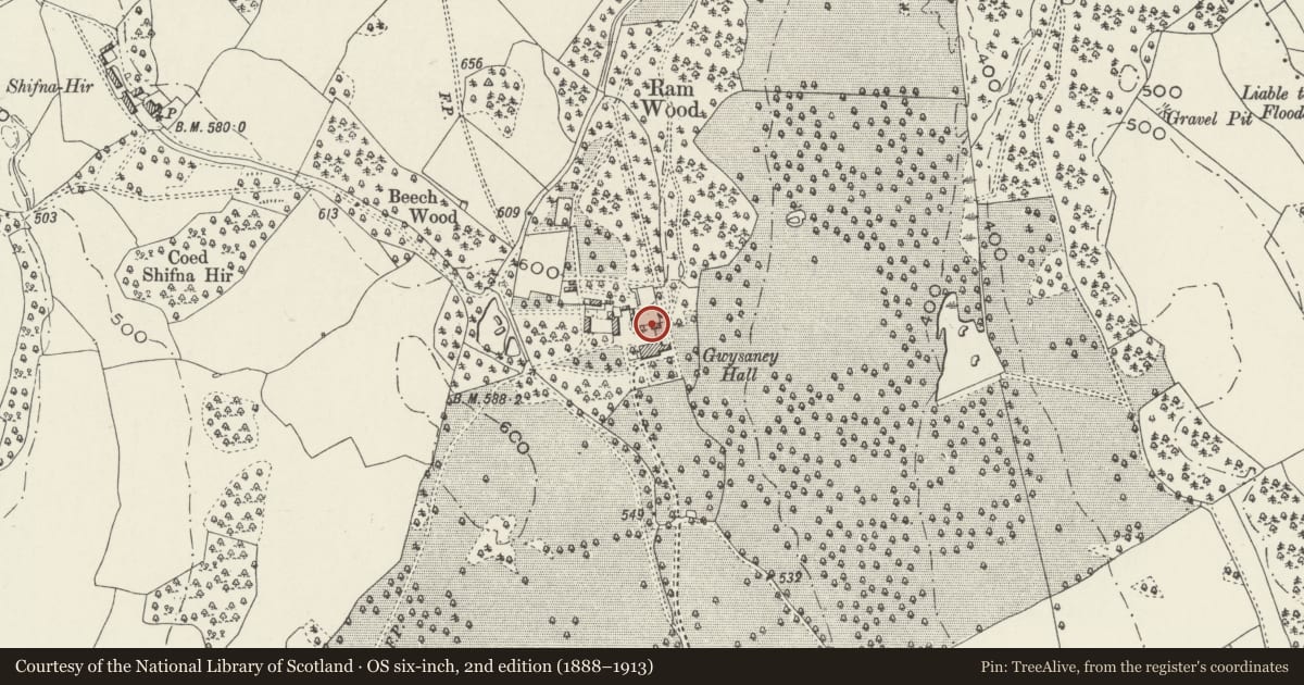 Ordnance Survey six-inch map, 2nd edition (1888–1913) covering the location of Former Chapel Windows and Walls in formal garden N of Gwysaney, Halkyn, Flintshire, with a pin at the register's coordinates