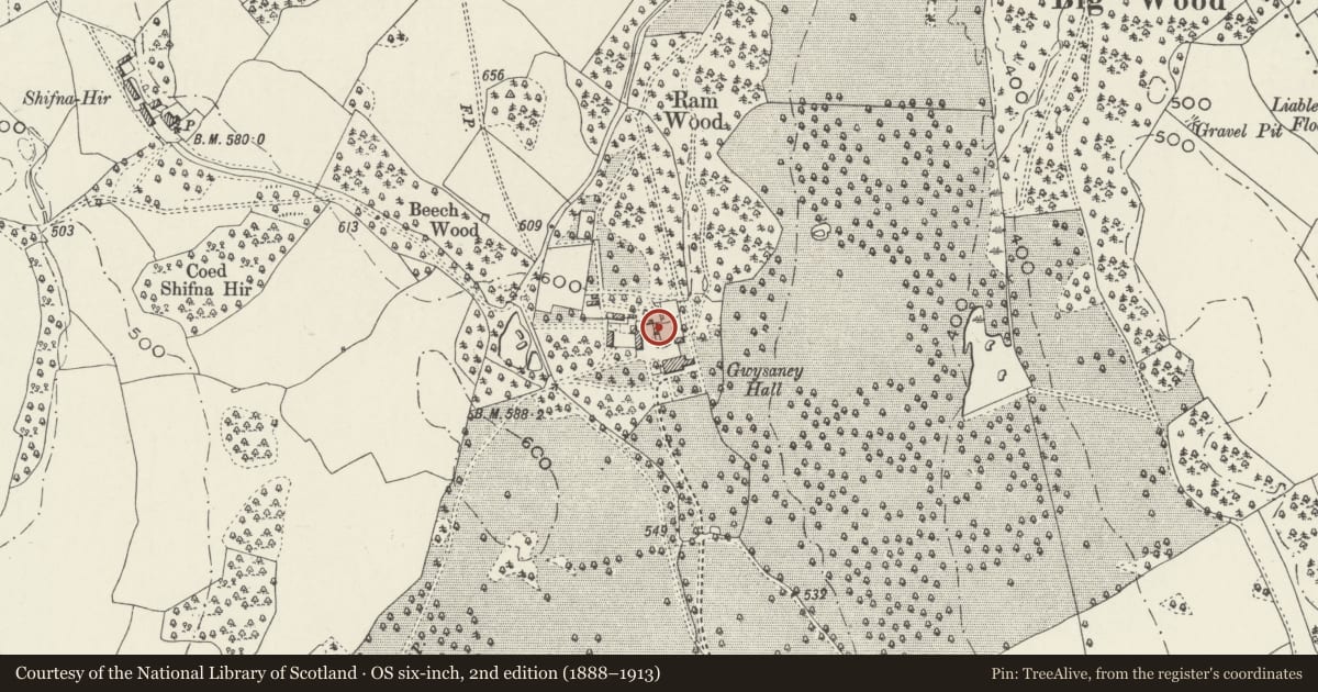 Ordnance Survey six-inch map, 2nd edition (1888–1913) covering the location of Coach House, Stable & Implement Store on N side of Gwysaney, Halkyn, Flintshire, with a pin at the register's coordinates