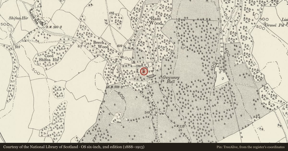 Ordnance Survey six-inch map, 2nd edition (1888–1913) covering the location of Stable Cottage, Halkyn, Flintshire, with a pin at the register's coordinates