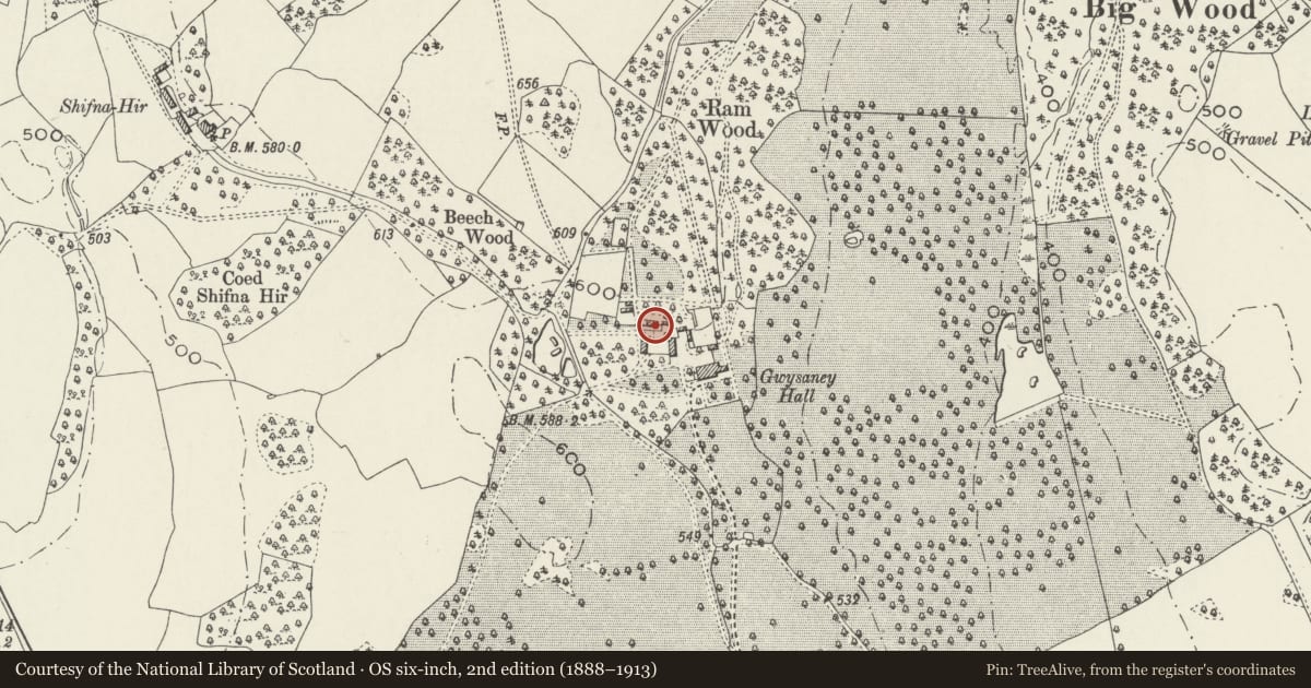 Ordnance Survey six-inch map, 2nd edition (1888–1913) covering the location of Garden Cottage, Halkyn, Flintshire, with a pin at the register's coordinates