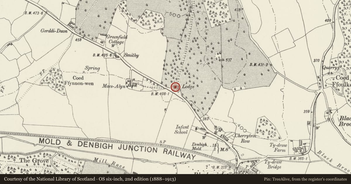 Ordnance Survey six-inch map, 2nd edition (1888–1913) covering the location of Gwysaney Lodge, Halkyn, Flintshire, with a pin at the register's coordinates