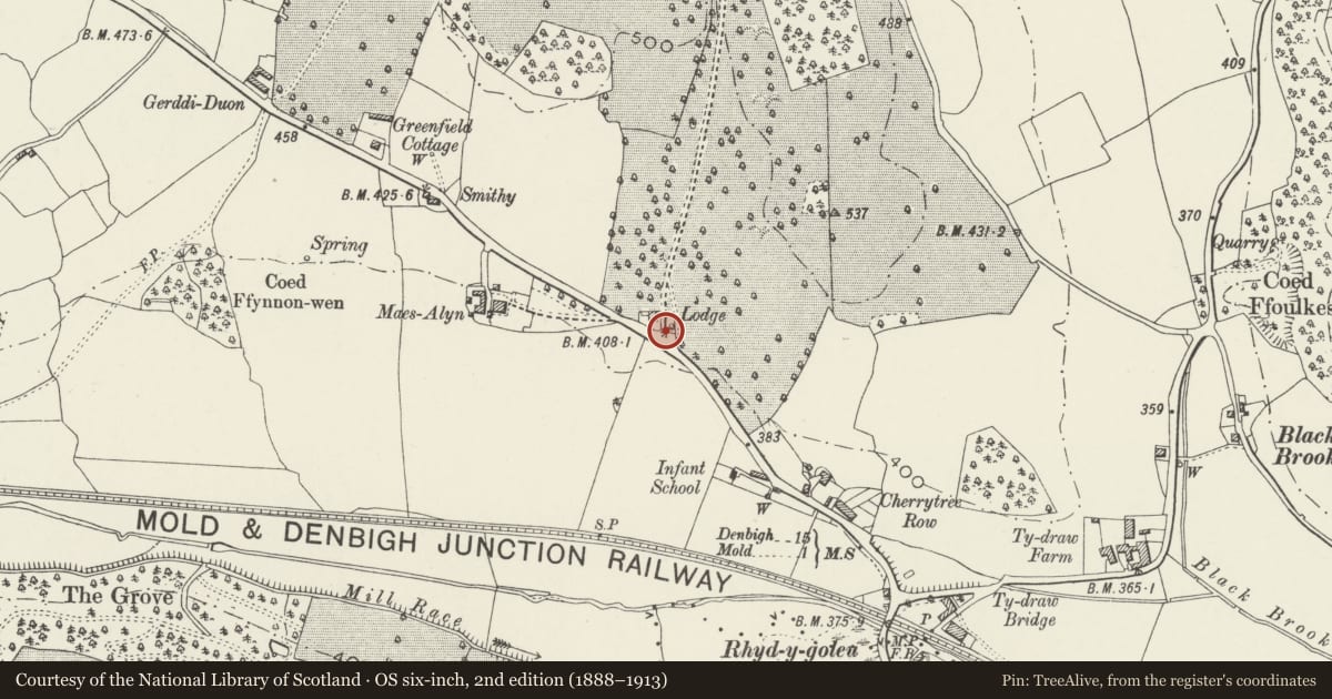 Ordnance Survey six-inch map, 2nd edition (1888–1913) covering the location of Gate Piers and attached Walls at entrance to Gwysaney, Halkyn, Flintshire, with a pin at the register's coordinates