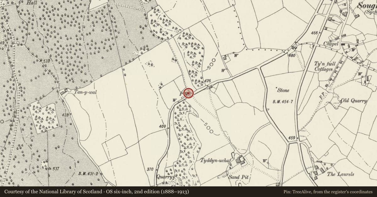 Ordnance Survey six-inch map, 2nd edition (1888–1913) covering the location of Bryn Tudor, Halkyn, Flintshire, with a pin at the register's coordinates