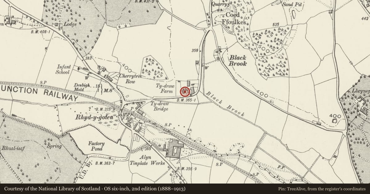 Ordnance Survey six-inch map, 2nd edition (1888–1913) covering the location of Ty Draw, Halkyn, Flintshire, with a pin at the register's coordinates