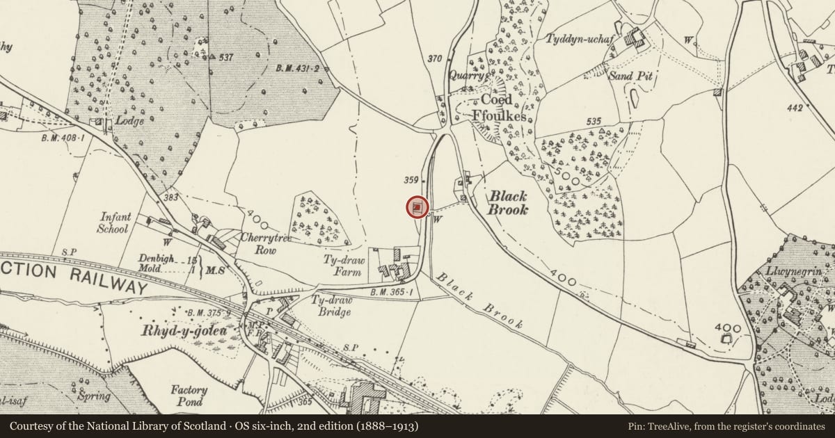 Ordnance Survey six-inch map, 2nd edition (1888–1913) covering the location of Islwyn, Halkyn, Flintshire, with a pin at the register's coordinates