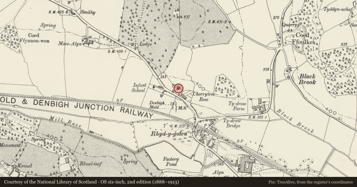 Ordnance Survey six-inch map, 2nd edition (1888–1913) covering the location of Tan yr Allt, Halkyn, Flintshire, with a pin at the register's coordinates