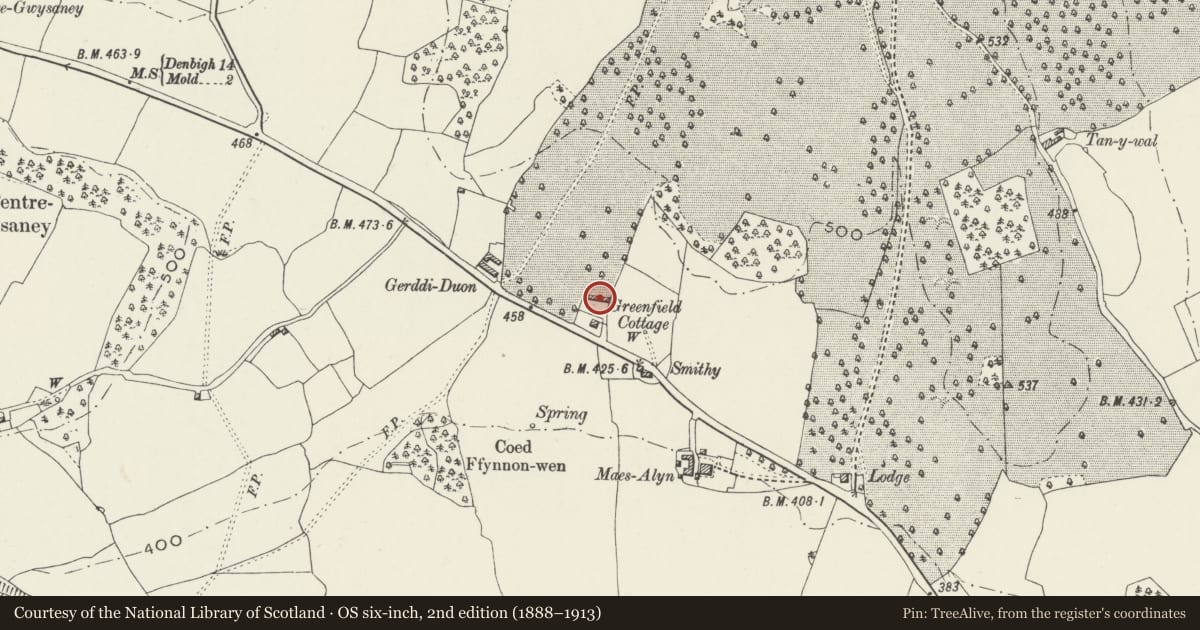 Ordnance Survey six-inch map, 2nd edition (1888–1913) covering the location of Joiners Shop and former Implement Store at Gwysaney Saw Mill, Halkyn, Flintshire, with a pin at the register's coordinates