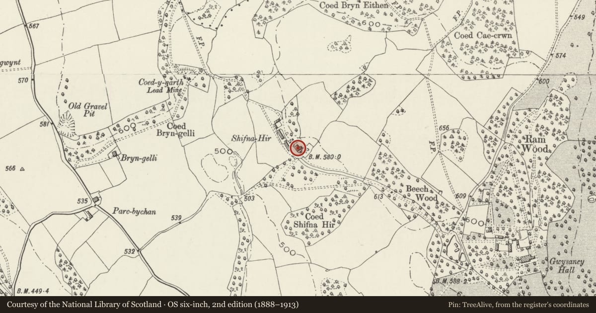 Ordnance Survey six-inch map, 2nd edition (1888–1913) covering the location of Shifna-hyr Farmhouse, Halkyn, Flintshire, with a pin at the register's coordinates