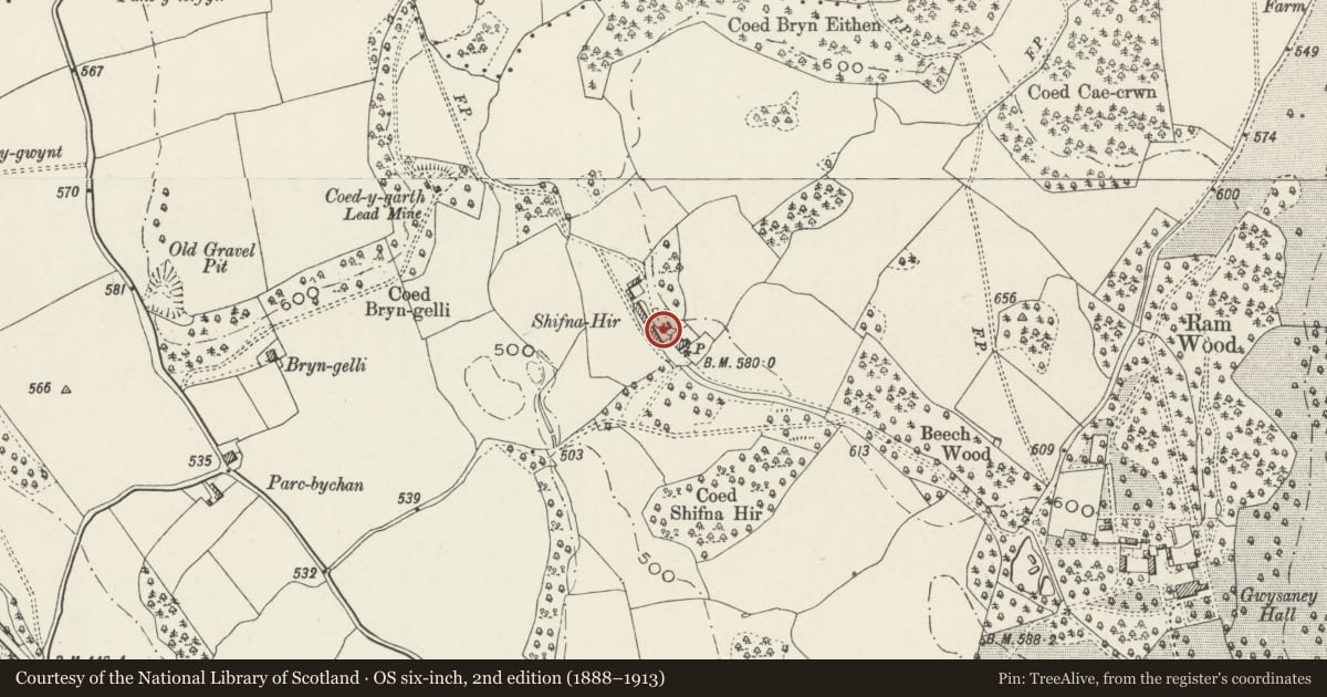 Ordnance Survey six-inch map, 2nd edition (1888–1913) covering the location of Cart House, Granary and Pigeon Loft at Shifna-hyr Farm, Halkyn, Flintshire, with a pin at the register's coordinates