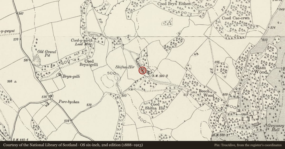 Ordnance Survey six-inch map, 2nd edition (1888–1913) covering the location of Stable and Shippon at Shifna-hyr Farm, Halkyn, Flintshire, with a pin at the register's coordinates