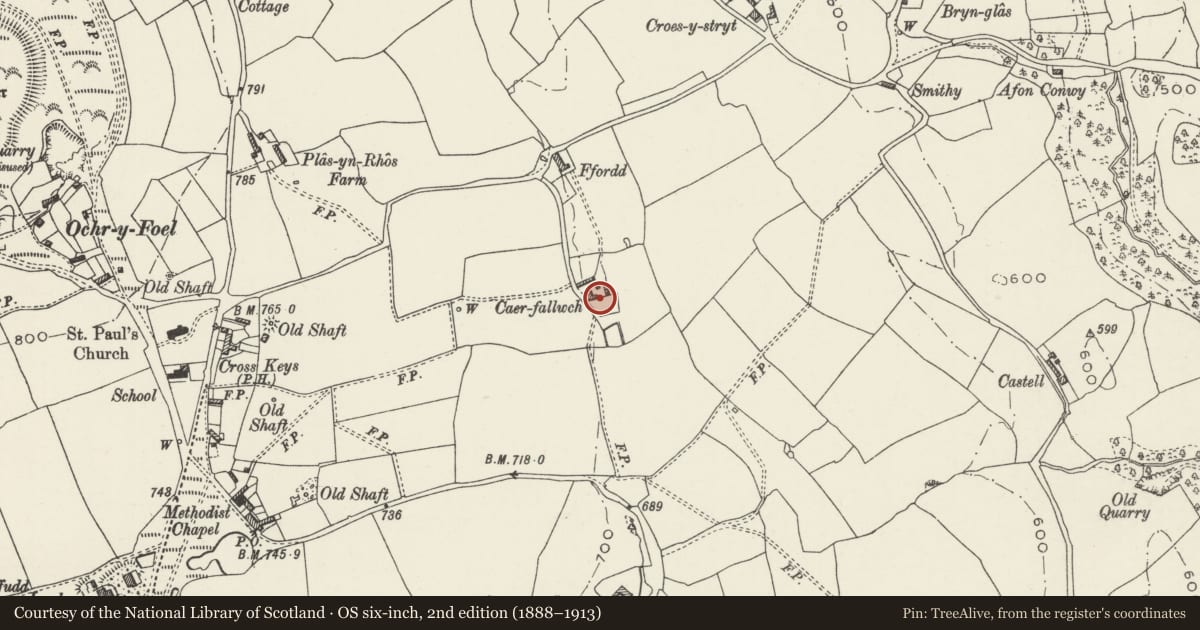 Ordnance Survey six-inch map, 2nd edition (1888–1913) covering the location of Caerfallwch, Halkyn, Flintshire, with a pin at the register's coordinates
