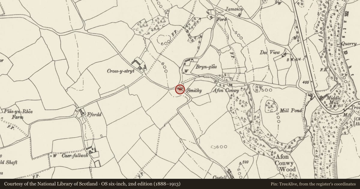 Ordnance Survey six-inch map, 2nd edition (1888–1913) covering the location of Bryn Glas Smithy, Halkyn, Flintshire, with a pin at the register's coordinates