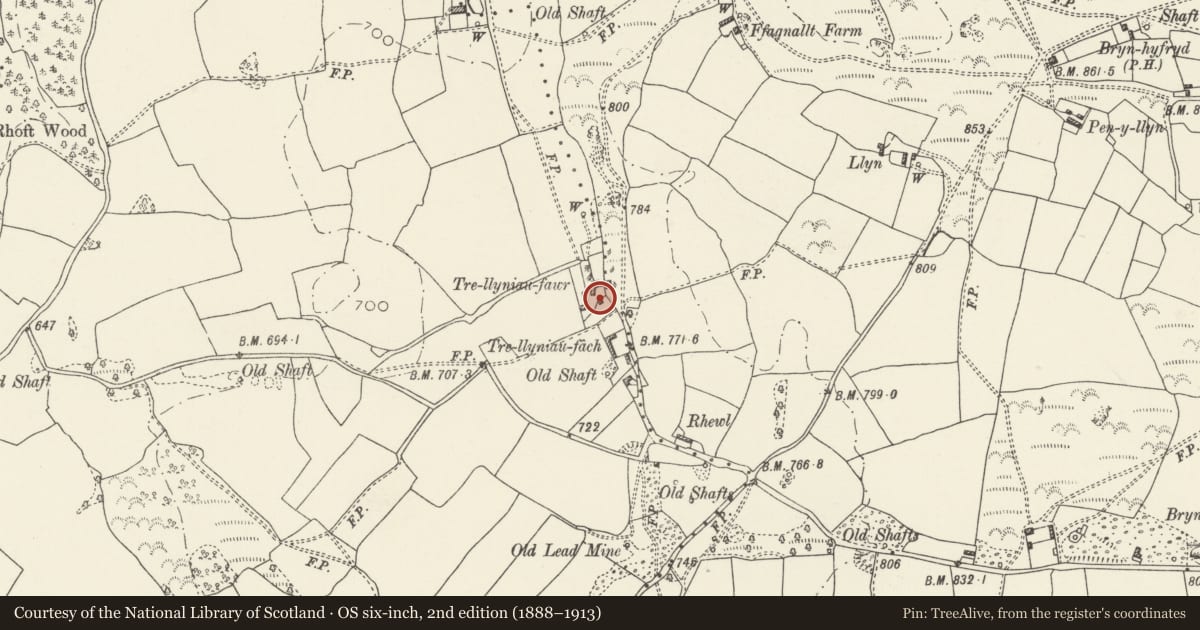 Ordnance Survey six-inch map, 2nd edition (1888–1913) covering the location of Stable and Granary at Trellyniau Fawr, Halkyn, Flintshire, with a pin at the register's coordinates