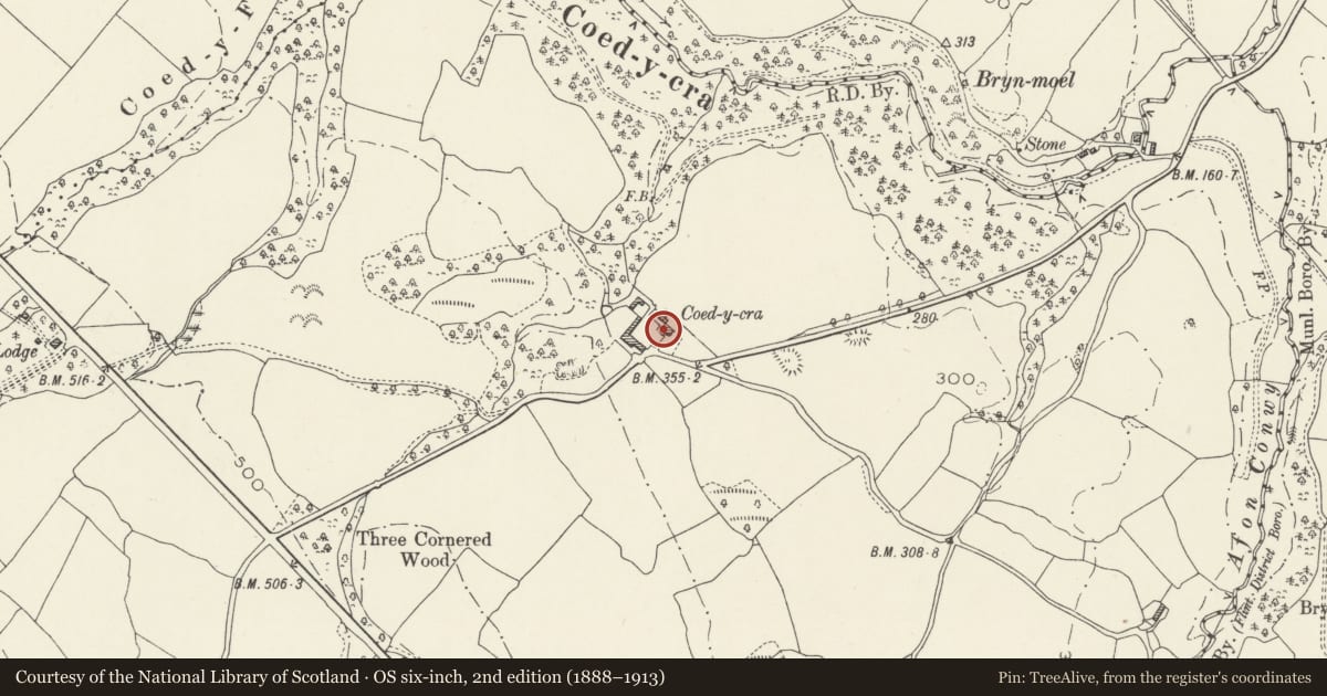 Ordnance Survey six-inch map, 2nd edition (1888–1913) covering the location of Coed-y-cra Farmhouse, Halkyn, Flintshire, with a pin at the register's coordinates