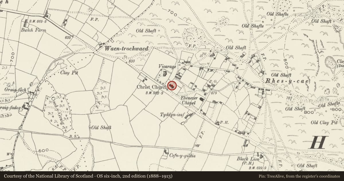 Ordnance Survey six-inch map, 2nd edition (1888–1913) covering the location of Christ Church, Halkyn, Flintshire, with a pin at the register's coordinates