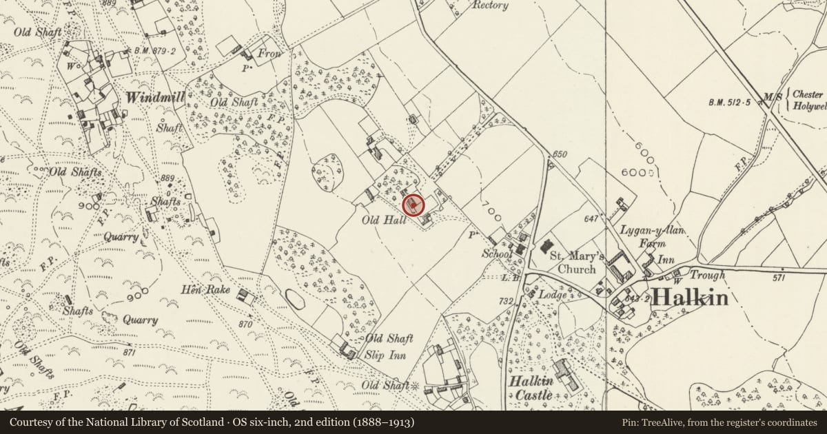 Ordnance Survey six-inch map, 2nd edition (1888–1913) covering the location of The Old Hall, Halkyn, Flintshire, with a pin at the register's coordinates