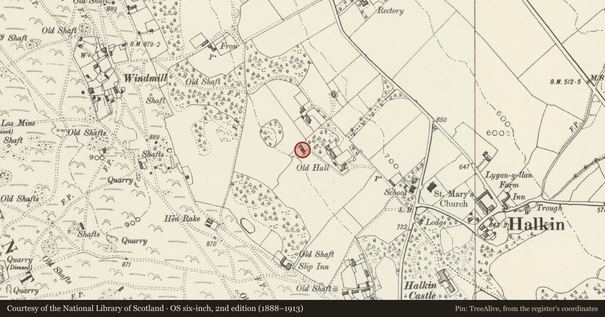 Ordnance Survey six-inch map, 2nd edition (1888–1913) covering the location of Folly W of The Old Hall, Halkyn, Flintshire, with a pin at the register's coordinates