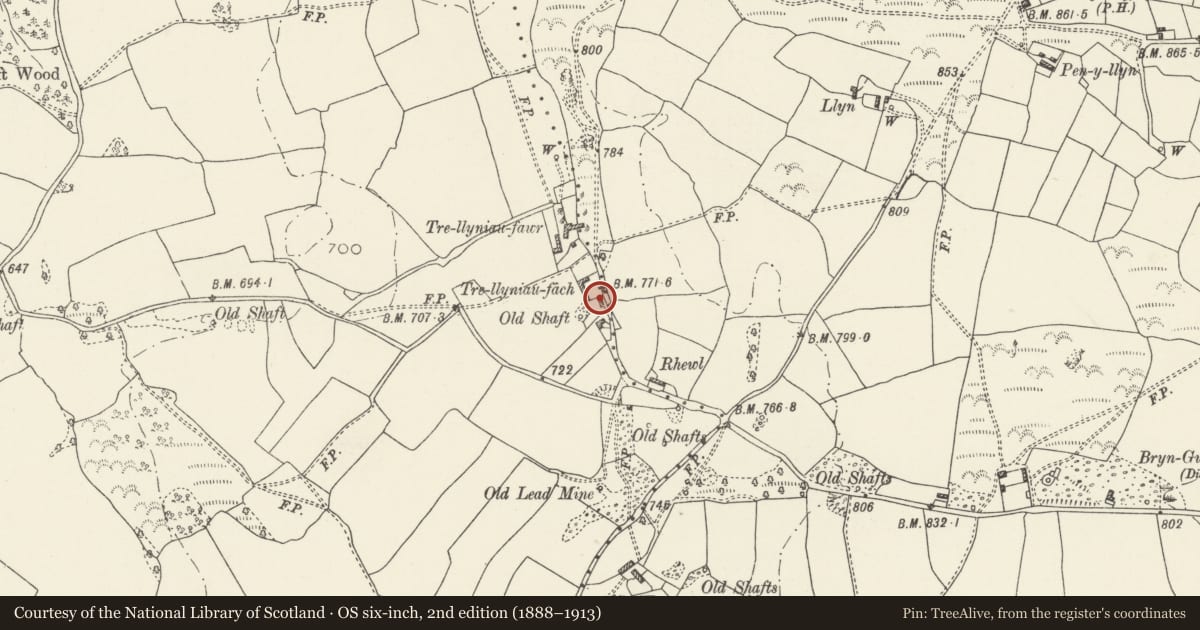 Ordnance Survey six-inch map, 2nd edition (1888–1913) covering the location of Trellyniau Bach, Halkyn, Flintshire, with a pin at the register's coordinates