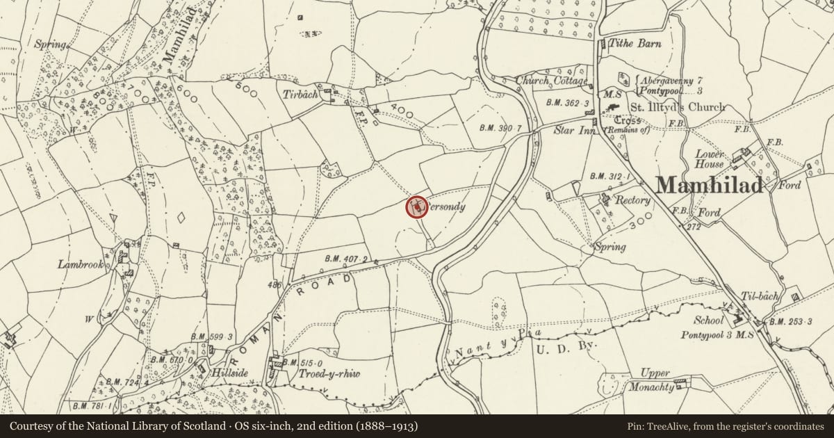 Ordnance Survey six-inch map, 2nd edition (1888–1913) covering the location of Ysguborwen, Goetre Fawr, Monmouthshire, with a pin at the register's coordinates