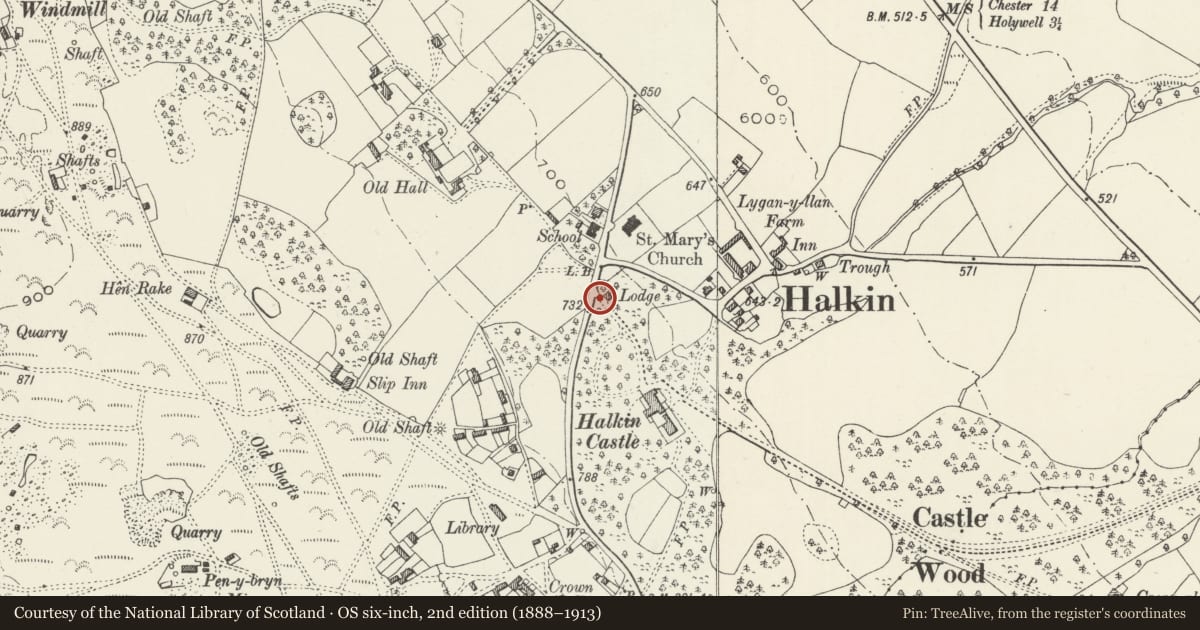 Ordnance Survey six-inch map, 2nd edition (1888–1913) covering the location of Gate Piers and attached Walls at entrance to Halkyn Castle, Flintshire, with a pin at the register's coordinates