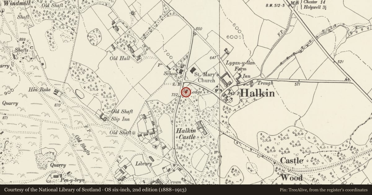 Ordnance Survey six-inch map, 2nd edition (1888–1913) covering the location of Top Lodge, Halkyn, Flintshire, with a pin at the register's coordinates