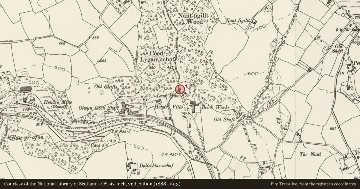 Ordnance Survey six-inch map, 2nd edition (1888–1913) covering the location of Taylor's Shaft Engine House, Halkyn, Flintshire, with a pin at the register's coordinates