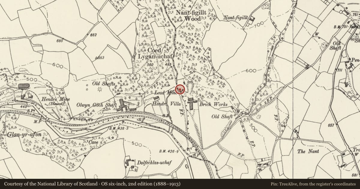 Ordnance Survey six-inch map, 2nd edition (1888–1913) covering the location of Boiler Stack at Taylor's Shaft, Halkyn, Flintshire, with a pin at the register's coordinates