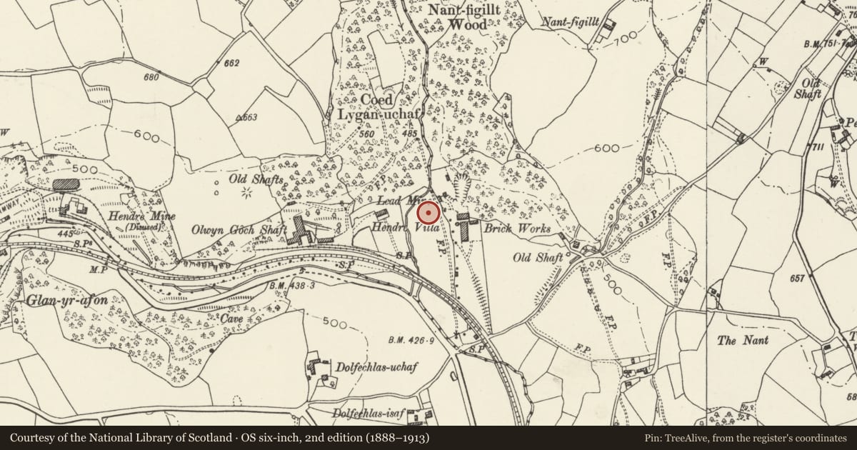 Ordnance Survey six-inch map, 2nd edition (1888–1913) covering the location of Ore Dressing Shed, Halkyn, Flintshire, with a pin at the register's coordinates