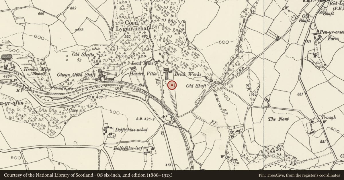 Ordnance Survey six-inch map, 2nd edition (1888–1913) covering the location of Brick Kiln and Stack, Halkyn, Flintshire, with a pin at the register's coordinates