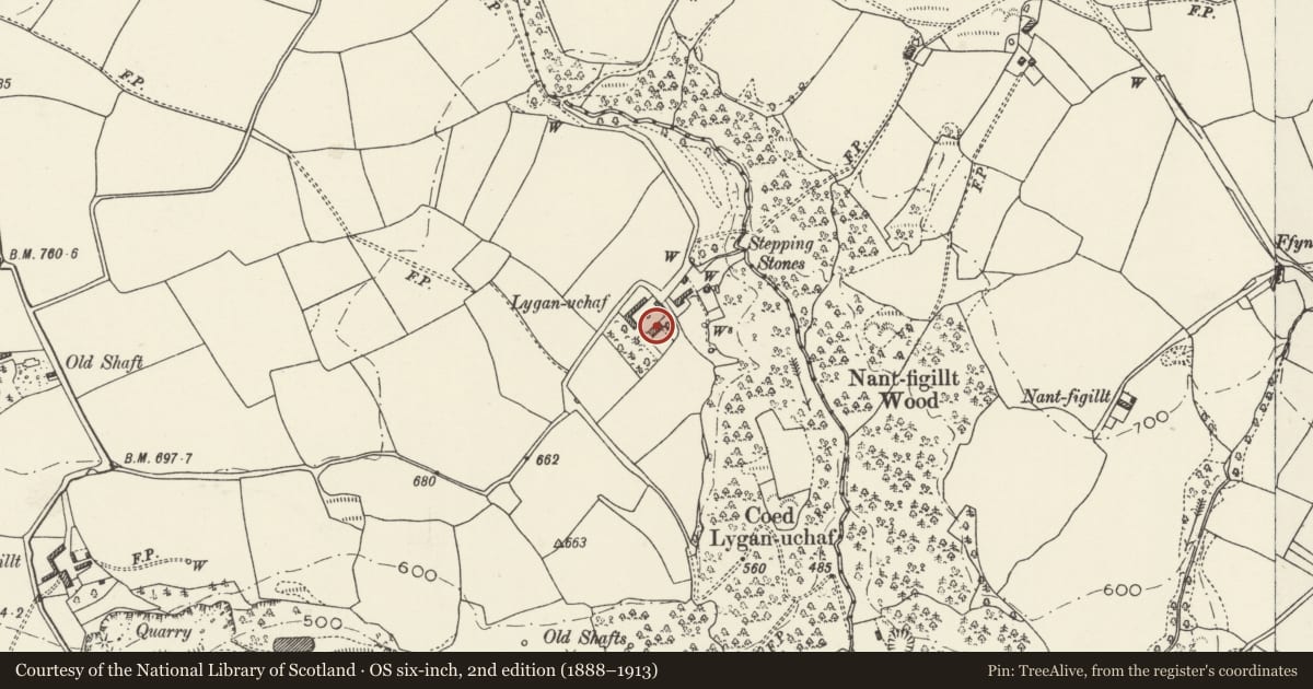 Ordnance Survey six-inch map, 2nd edition (1888–1913) covering the location of Lygan Uchaf, Halkyn, Flintshire, with a pin at the register's coordinates