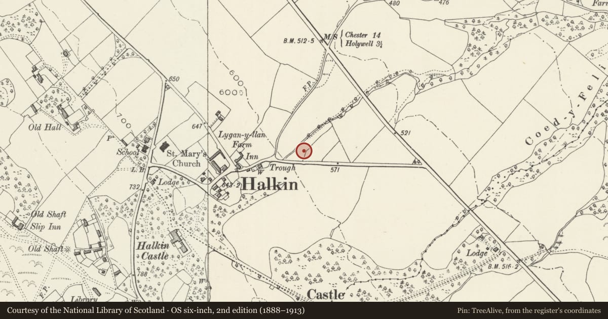 Ordnance Survey six-inch map, 2nd edition (1888–1913) covering the location of 1 Fullbrook Villas, Halkyn, Flintshire, with a pin at the register's coordinates