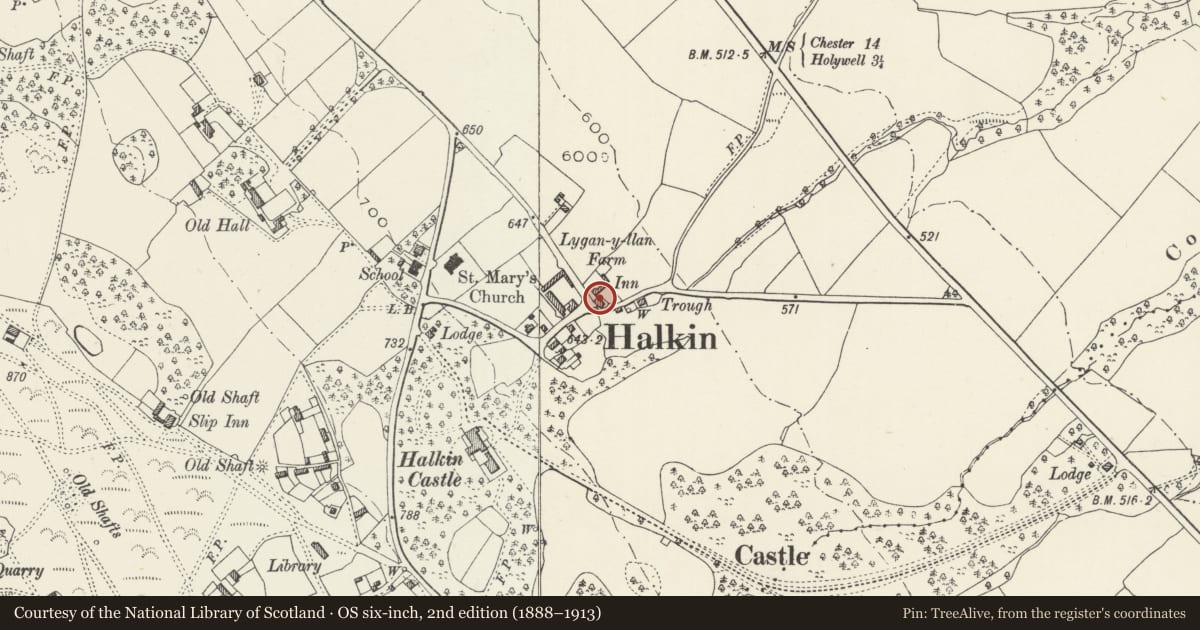 Ordnance Survey six-inch map, 2nd edition (1888–1913) covering the location of Britannia Inn, Halkyn, Flintshire, with a pin at the register's coordinates