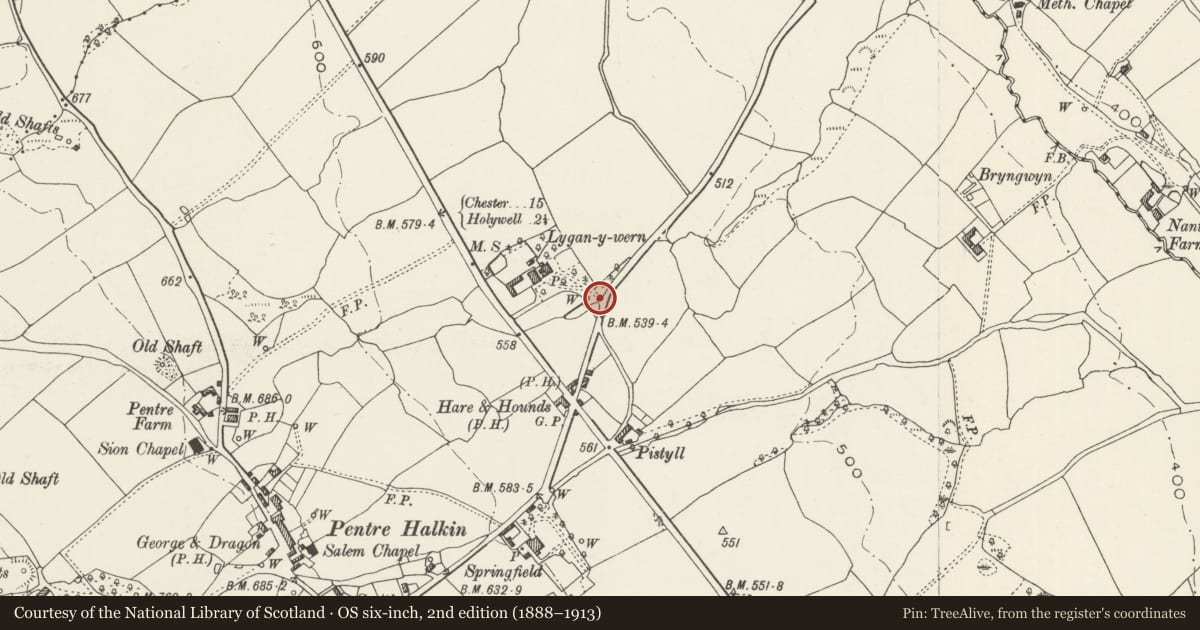 Ordnance Survey six-inch map, 2nd edition (1888–1913) covering the location of Gatepiers at Lygan-y-wern, Halkyn, Flintshire, with a pin at the register's coordinates