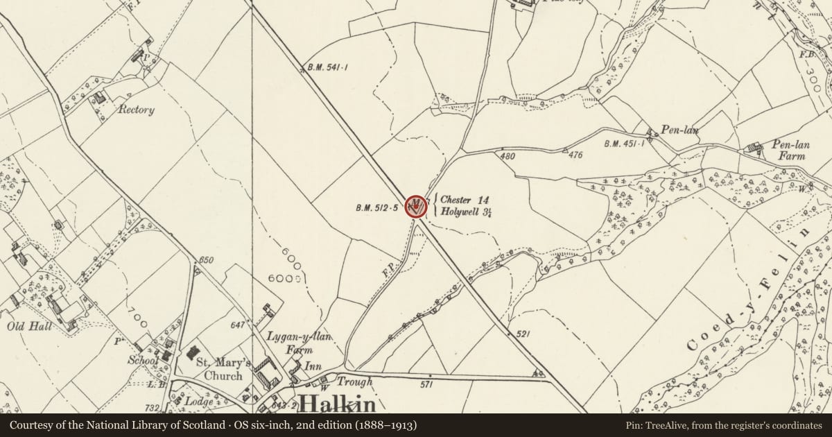 Ordnance Survey six-inch map, 2nd edition (1888–1913) covering the location of Milepost, Halkyn, Flintshire, with a pin at the register's coordinates