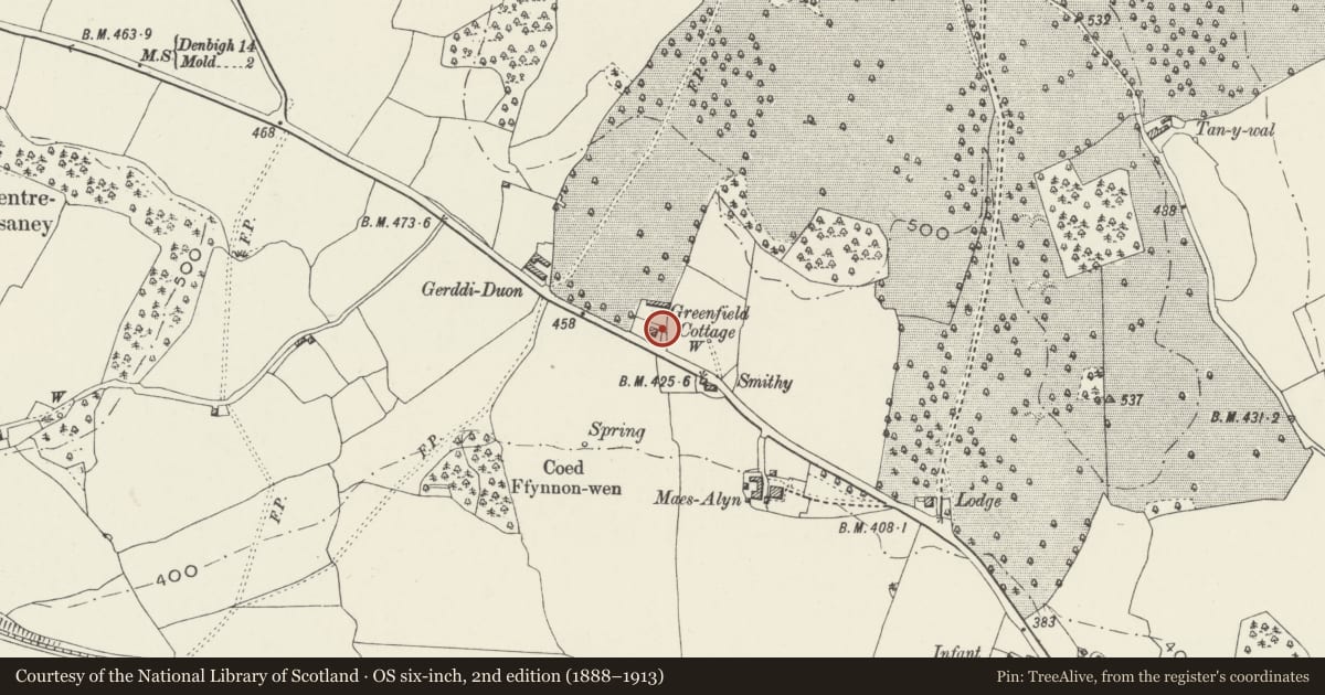 Ordnance Survey six-inch map, 2nd edition (1888–1913) covering the location of Stable and attached Shed at Greenfields, Halkyn, Flintshire, with a pin at the register's coordinates
