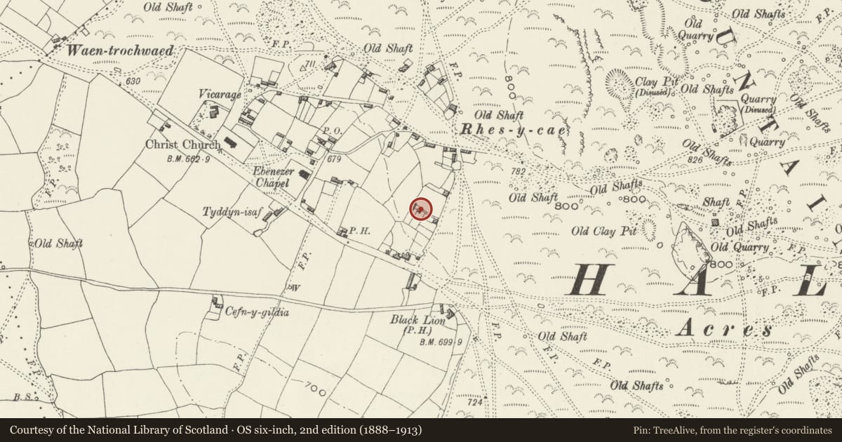Ordnance Survey six-inch map, 2nd edition (1888–1913) covering the location of Bryn Idris, Halkyn, Flintshire, with a pin at the register's coordinates