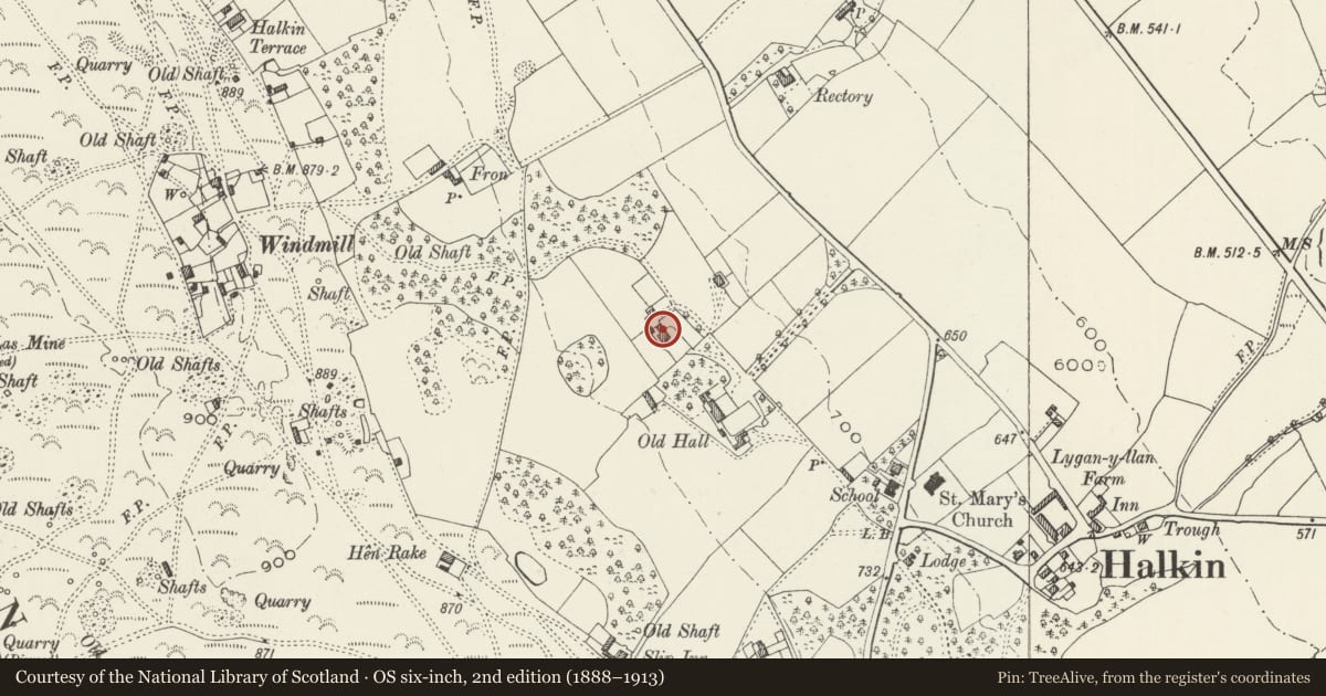 Ordnance Survey six-inch map, 2nd edition (1888–1913) covering the location of 1 Halkyn Old Hall, Flintshire, with a pin at the register's coordinates