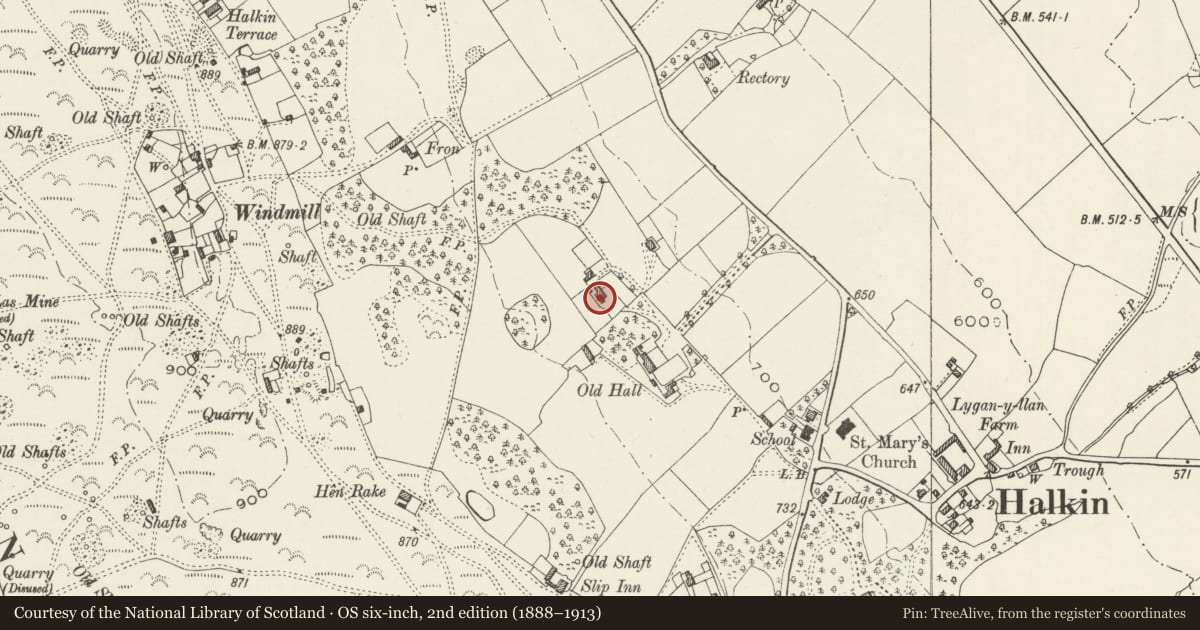 Ordnance Survey six-inch map, 2nd edition (1888–1913) covering the location of 2 Halkyn Old Hall, Flintshire, with a pin at the register's coordinates