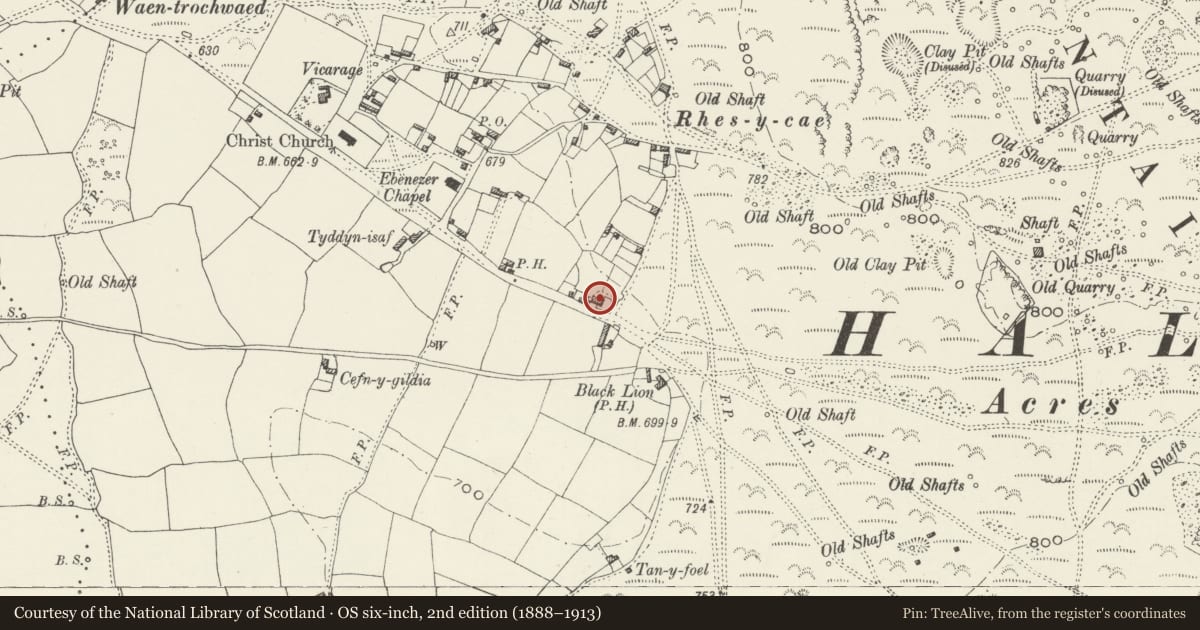 Ordnance Survey six-inch map, 2nd edition (1888–1913) covering the location of The Stores House, Halkyn, Flintshire, with a pin at the register's coordinates