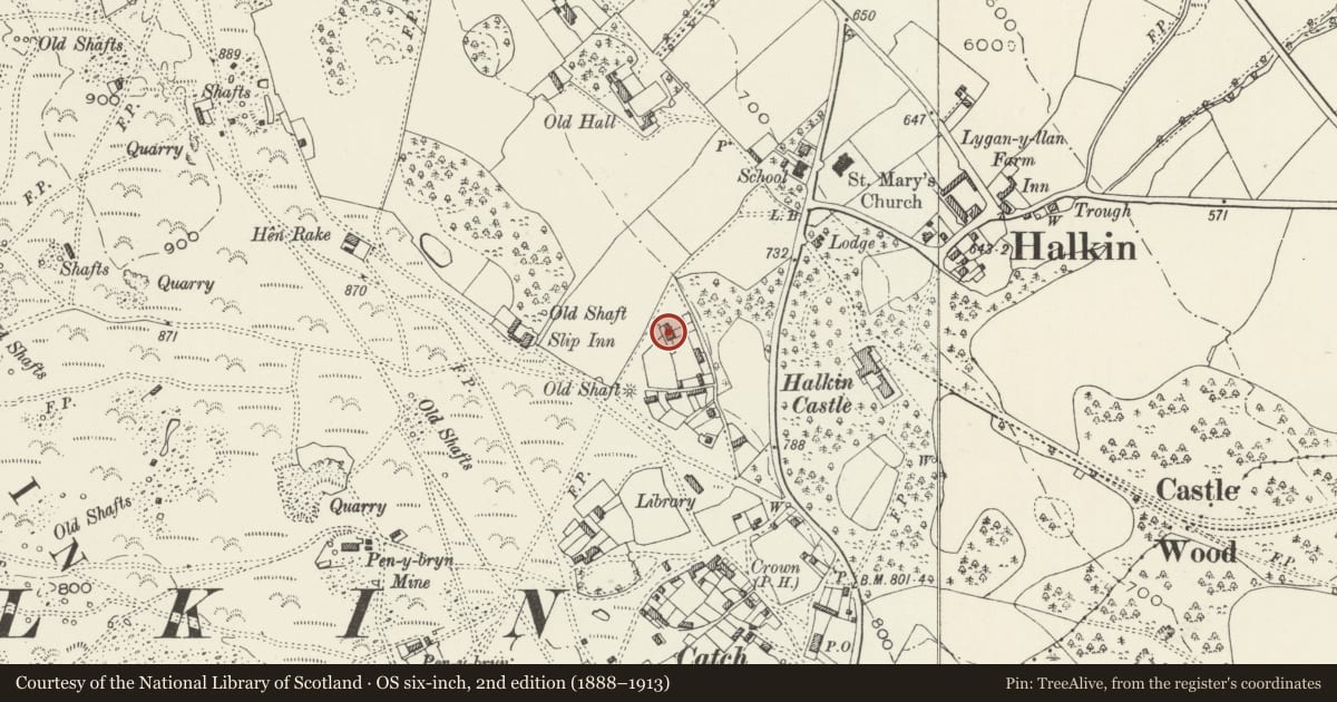 Ordnance Survey six-inch map, 2nd edition (1888–1913) covering the location of Isfryn, Halkyn, Flintshire, with a pin at the register's coordinates